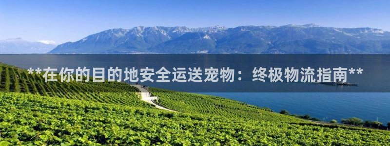 28圈注册用户名是什么：**在你的目
