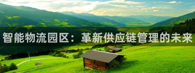 28圈现在狂杀：智能物流园区：革新供