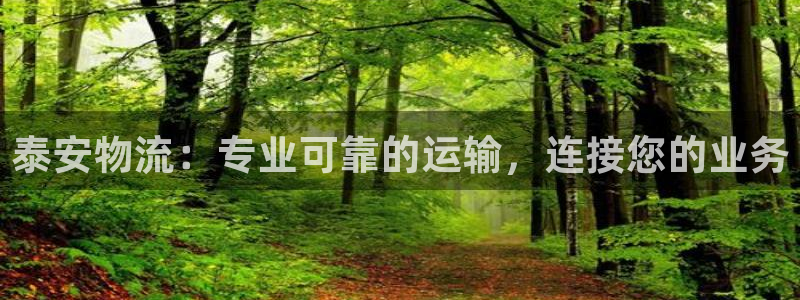 28圈网站怎么注册：泰安物流：专业可