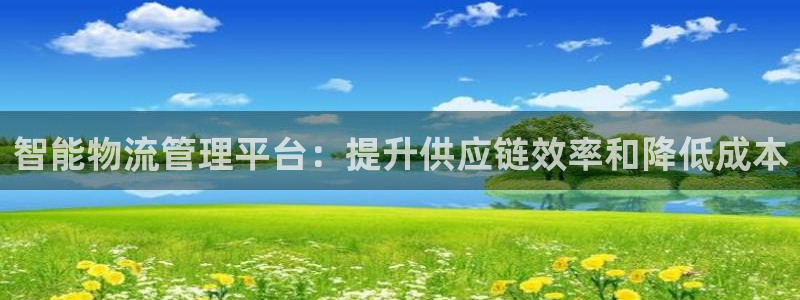 28圈官方平台：智能物流管理平台：提