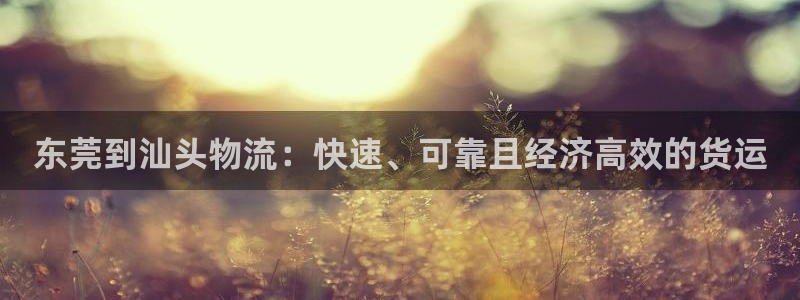 28圈账号注册：东莞到汕头物流：快速