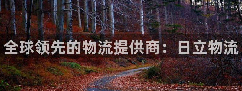 28圈客服一直不回消息怎么办：全球领