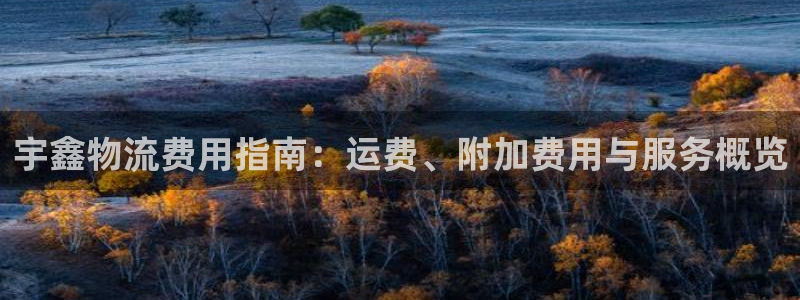 28圈能赢钱吗：宇鑫物流费用指南：运