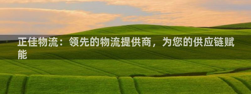 28圈app怎么注册账号：正佳物流：