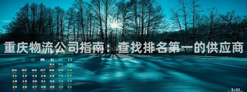 28圈官方版网站：重庆物流公司指南：