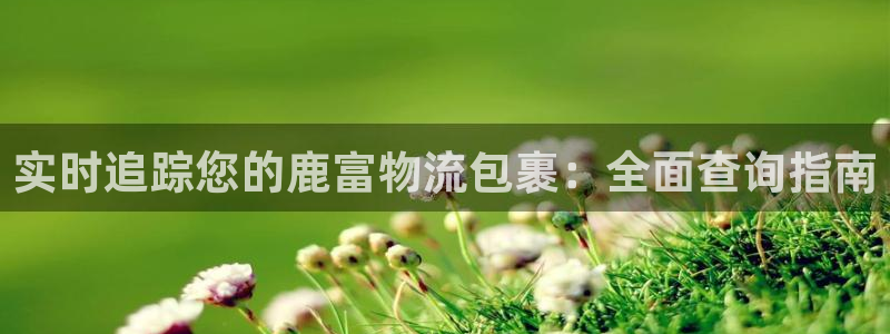 28圈.ccmpc是诈骗吗?：实时追