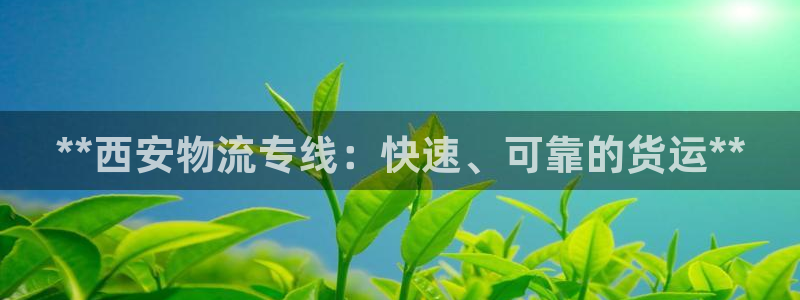28圈加拿大：**西安物流专线：快速
