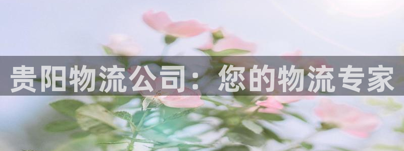 28圈.ccm南宫：贵阳物流公司：您
