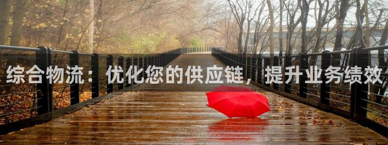 28圈提现不到账：综合物流：优化您的