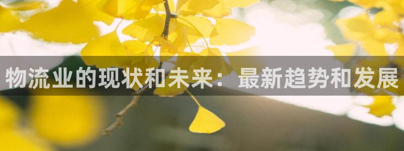 28圈麻将：物流业的现状和未来：最新