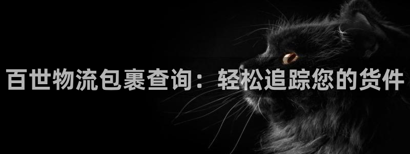 28圈如何看计划：百世物流包裹查询：