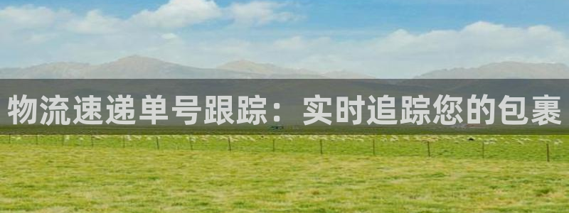 28圈加拿大是什么：物流速递单号跟踪