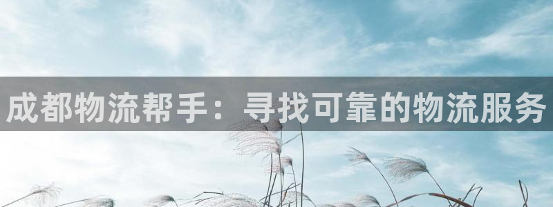 28圈游戏官网平台：成都物流帮手：寻