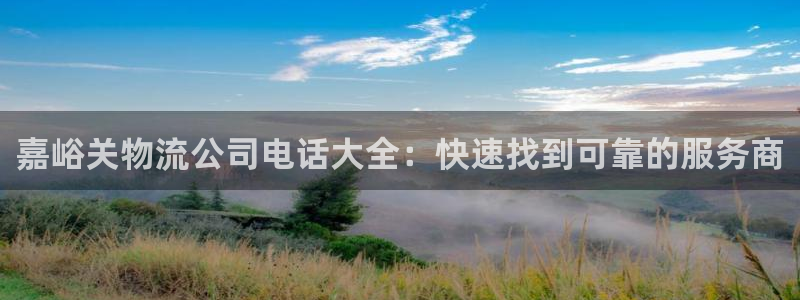 28圈加拿大能提现吗：嘉峪关物流公司
