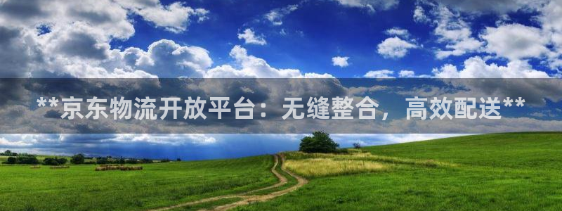 28圈平台注册：**京东物流开放平台