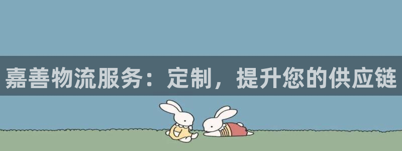 28圈注册与教程：嘉善物流服务：定制