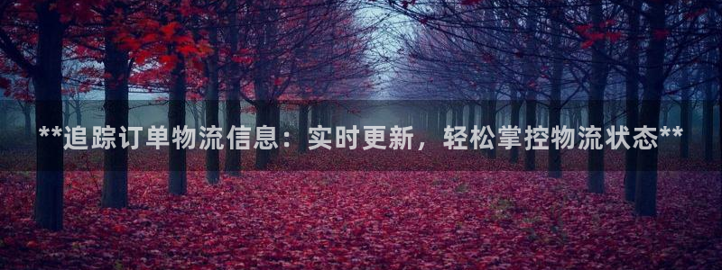 28圈加拿大在线预测：**追踪订单物