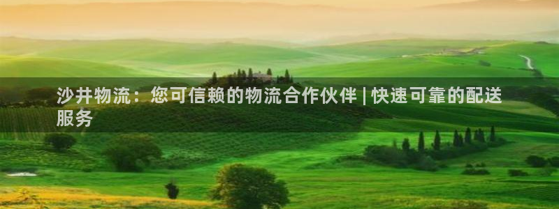 28圈是什么软件：沙井物流：您可信赖