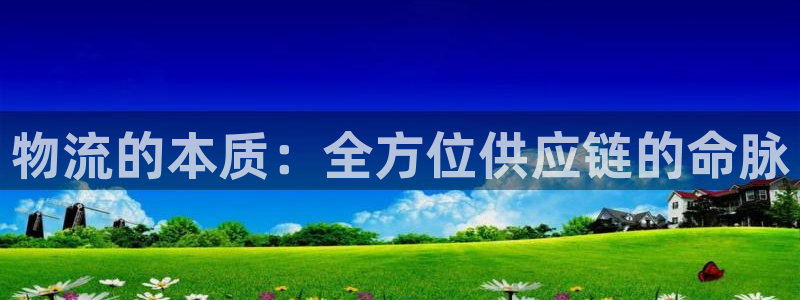 28圈注册教程：物流的本质：全方位供