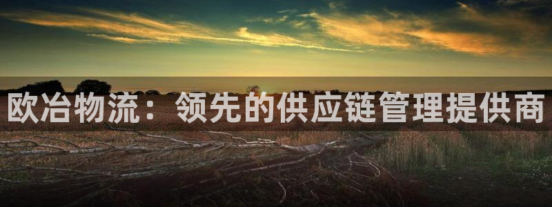 28圈免费：欧冶物流：领先的供应链管