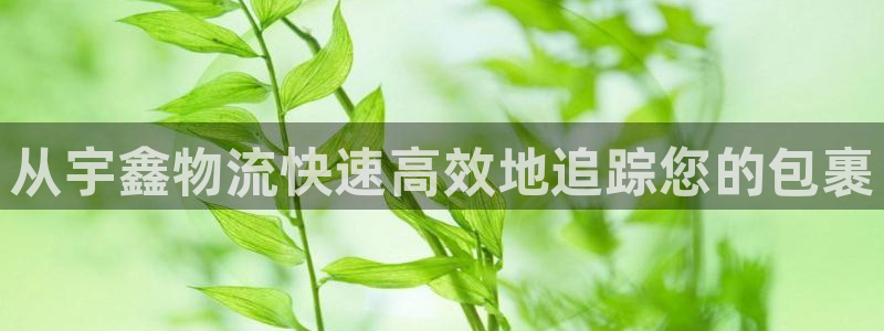 28圈大舞台：从宇鑫物流快速高效地追