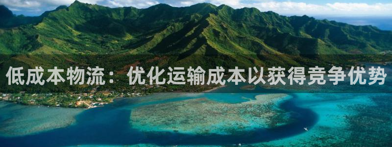 28圈游戏官网平台：低成本物流：优化
