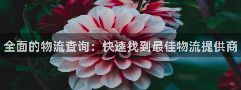 28圈注册网页：全面的物流查询：快速