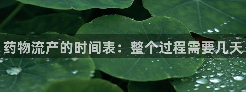 28圈大舞台：药物流产的时间表：整个