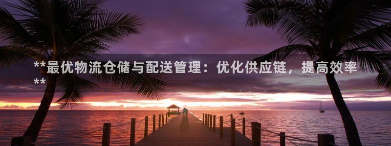 28圈头像：**最优物流仓储与配送管