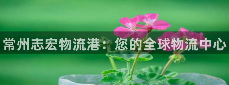 28圈提现未达5期是什么意思：常州志