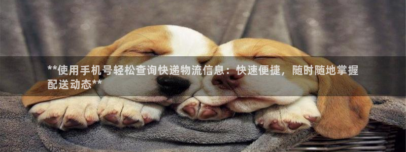28圈是干嘛的：**使用手机号轻松查