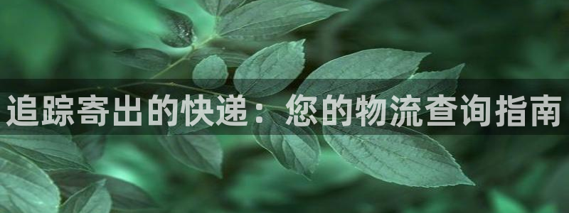 28圈官网多少
