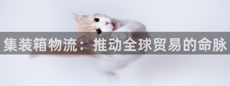 28圈官方网站是多少