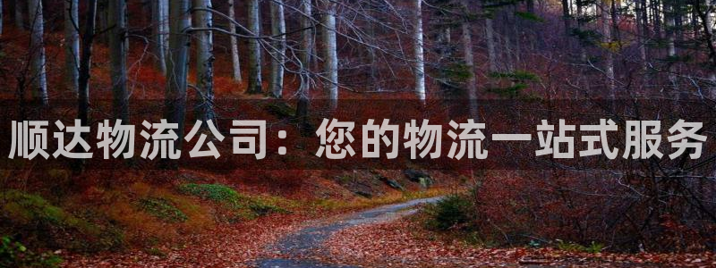 28圈模拟：顺达物流公司：您的物流一