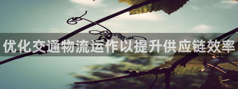 28圈比特28真实吗：优化交通物流运