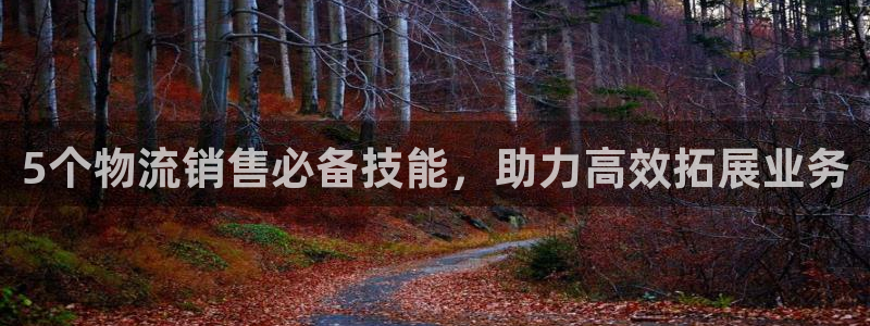 28圈可以退款吗：5个物流销售必备技