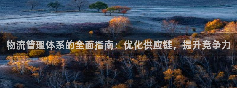 28圈加拿大预测