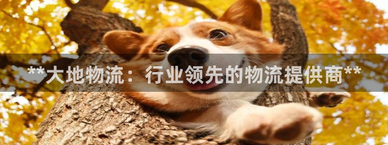 28圈加拿大开奖