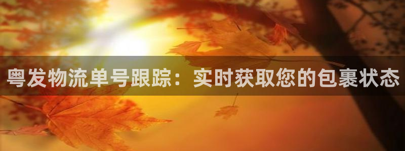 28圈.ccmpc28：粤发物流单号