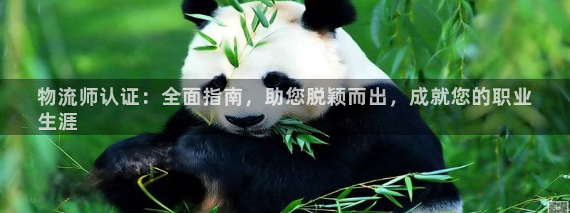 28圈注册用户名是什么：物流师认证：