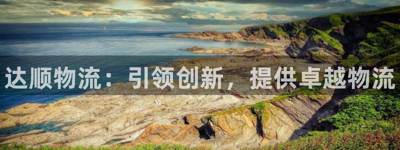 28圈注册登录链接：达顺物流：引领创