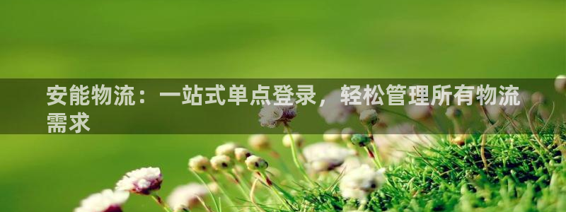 28圈注册链接：安能物流：一站式单点