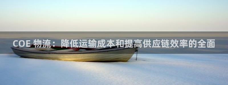 28圈人工客服电话是什么：COE 物
