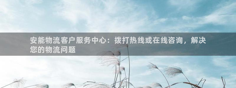 28圈游戏官网平台：安能物流客户服务
