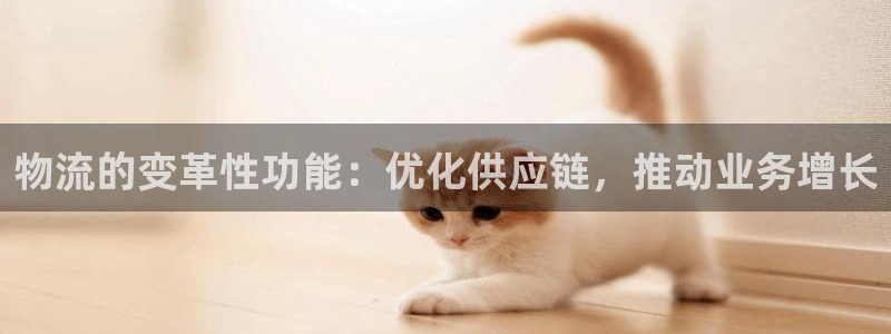 28圈登录流程：物流的变革性功能：优