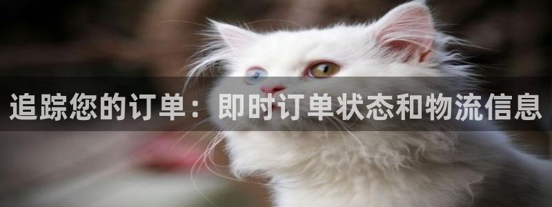 28圈模拟器下载