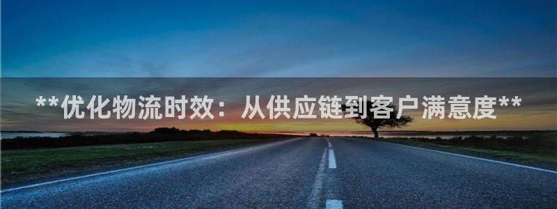 28圈游戏最新版：**优化物流时效：