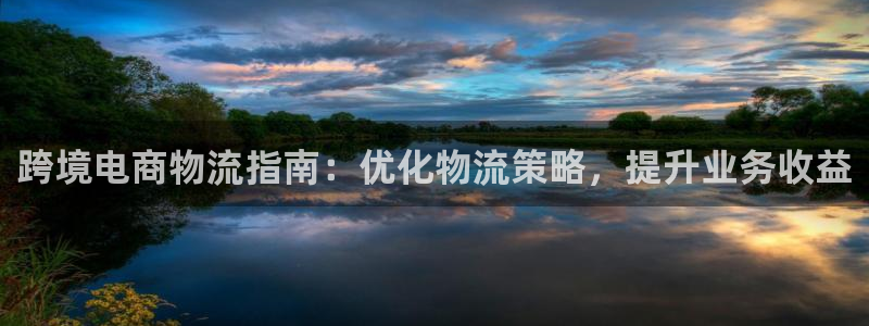 28圈退款：跨境电商物流指南：优化物
