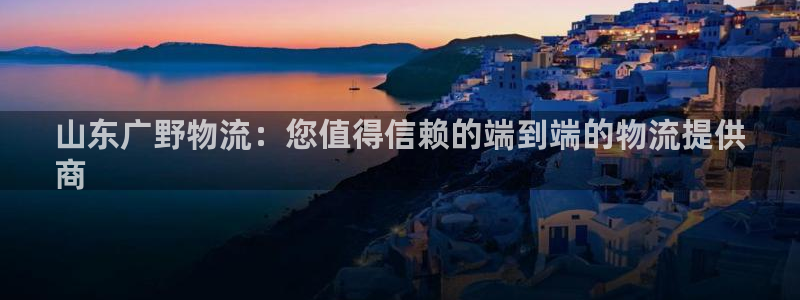 28圈注册网站链接：山东广野物流：您