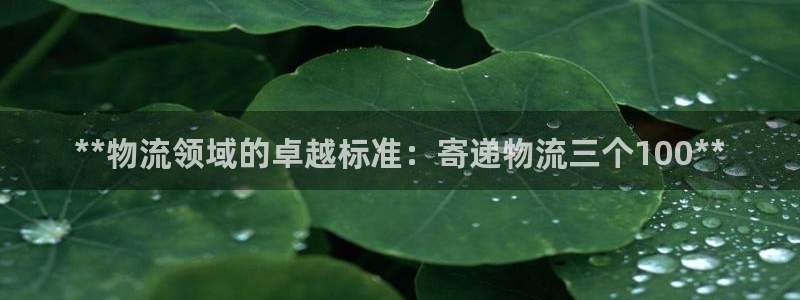 28圈模拟器在线玩：**物流领域的卓